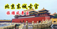爆插美少妇BB中国北京-东城古宫旅游风景区